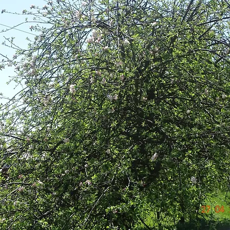 Utulny Vazka U Pastvinske Prehrady V Orlickych Horach * Nekor