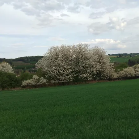 Appartement útulný Vážka U Pastvinské Přehrady V Orlických Horách