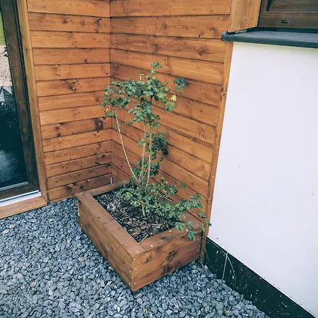 Utulny Vazka U Pastvinske Prehrady V Orlickych Horach Apartment