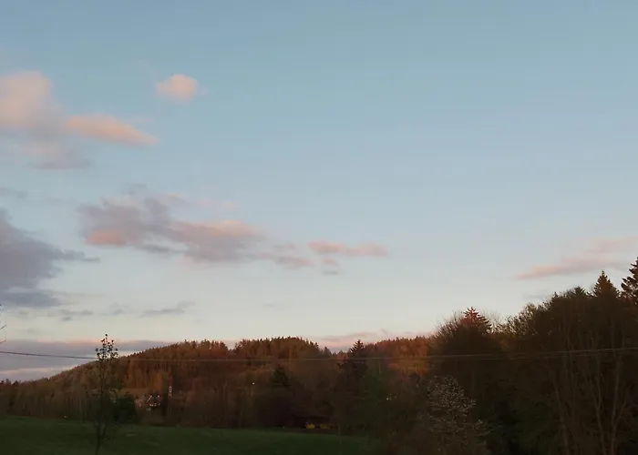 Utulny Vazka U Pastvinske Prehrady V Orlickych Horach Nekor