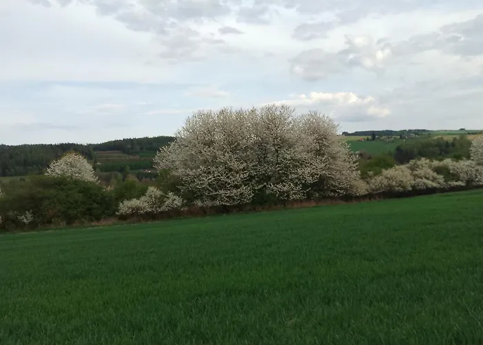 公寓 Utulny Vazka U Pastvinske Prehrady V Orlickych Horach